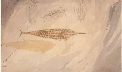 Nghệ thuật của người Úc bản địa