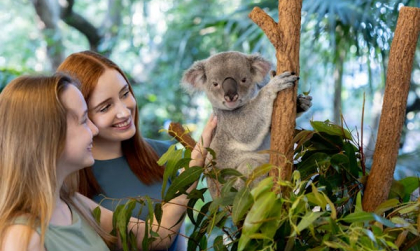 Tất cả những điều cần biết về chuyến Du lịch tới Brisbane, Úc