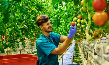 Du học Úc ngành Nông nghiệp - Ngành kinh tế mũi nhọn ở xứ sở 