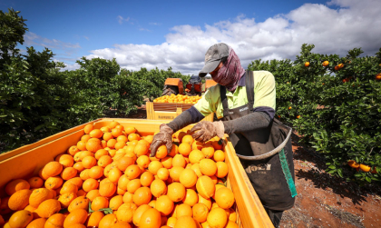 Cập Nhật Visa Nông Nghiệp Úc: Đâu Là Cơ Hội Cho Người Lao Động Việt?